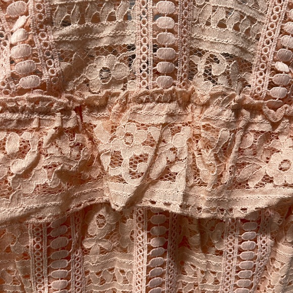 Disney Blush Pink Lace Dress - Picture 8 of 9